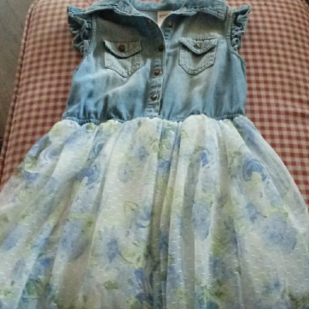 A blue flower dress